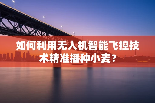 如何利用无人机智能飞控技术精准播种小麦？