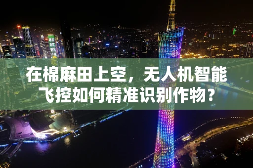在棉麻田上空，无人机智能飞控如何精准识别作物？