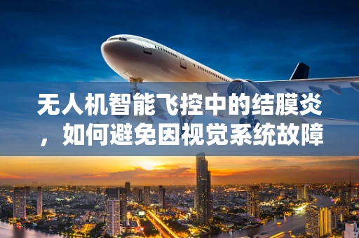 无人机智能飞控中的结膜炎，如何避免因视觉系统故障导致的飞行风险？
