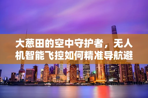 大葱田的空中守护者，无人机智能飞控如何精准导航避障？