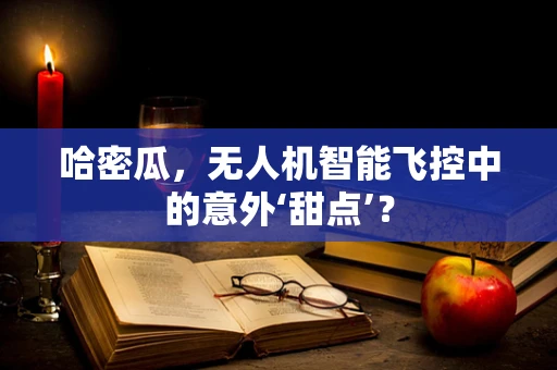 哈密瓜，无人机智能飞控中的意外‘甜点’？