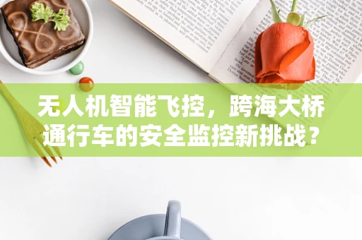 无人机智能飞控，跨海大桥通行车的安全监控新挑战？