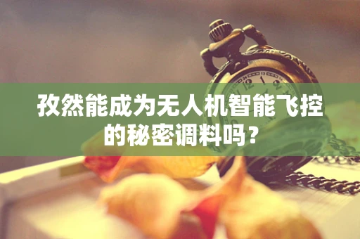 孜然能成为无人机智能飞控的秘密调料吗？