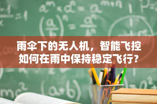 雨伞下的无人机，智能飞控如何在雨中保持稳定飞行？