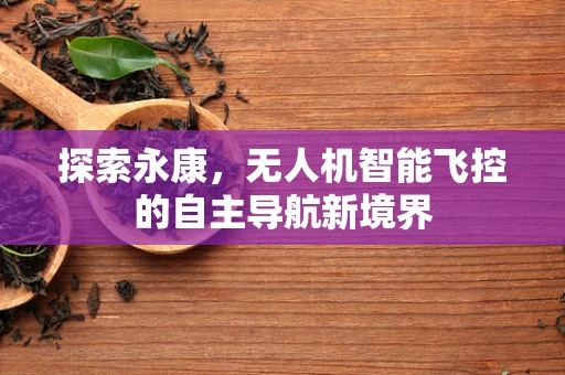 探索永康，无人机智能飞控的自主导航新境界