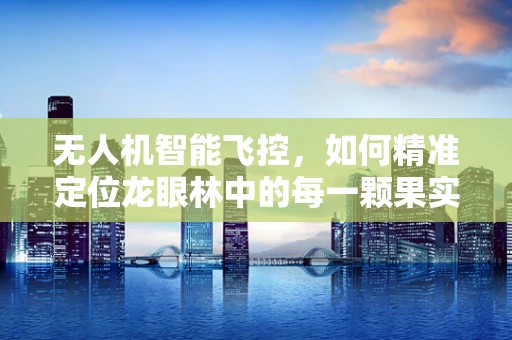 无人机智能飞控，如何精准定位龙眼林中的每一颗果实？