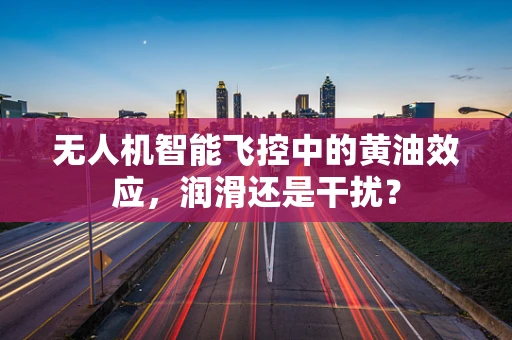 无人机智能飞控中的黄油效应，润滑还是干扰？