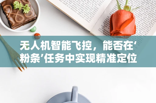无人机智能飞控，能否在‘粉条’任务中实现精准定位？