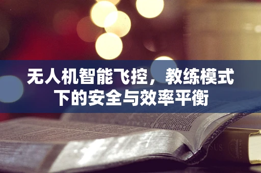 无人机智能飞控，教练模式下的安全与效率平衡
