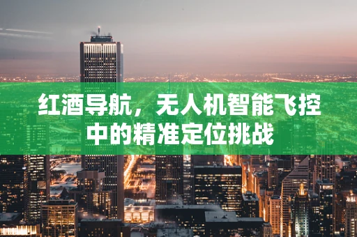 红酒导航，无人机智能飞控中的精准定位挑战