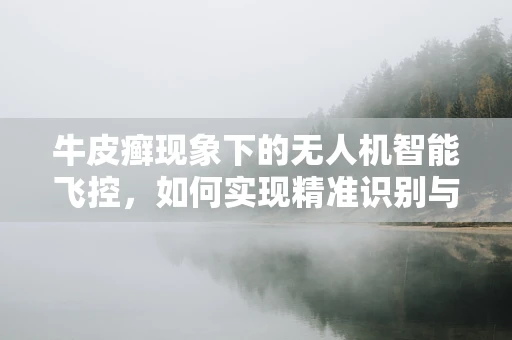 牛皮癣现象下的无人机智能飞控，如何实现精准识别与高效清除？