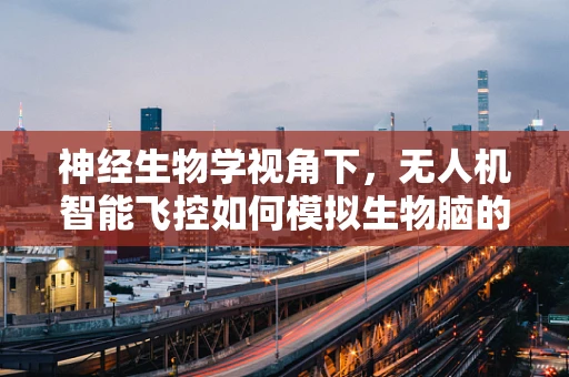 神经生物学视角下，无人机智能飞控如何模拟生物脑的决策机制？