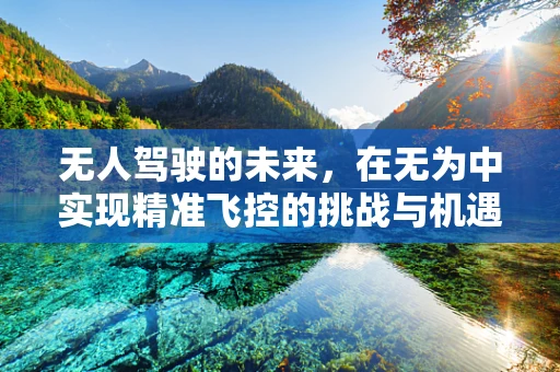 无人驾驶的未来，在无为中实现精准飞控的挑战与机遇？