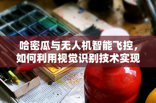 哈密瓜与无人机智能飞控，如何利用视觉识别技术实现精准避障？