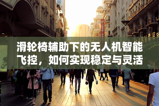 滑轮椅辅助下的无人机智能飞控，如何实现稳定与灵活的平衡？