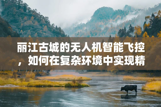 丽江古城的无人机智能飞控，如何在复杂环境中实现精准导航？