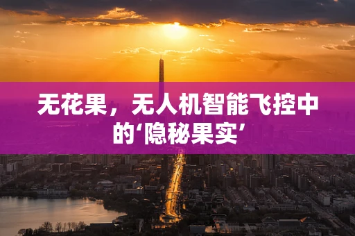 无花果，无人机智能飞控中的‘隐秘果实’