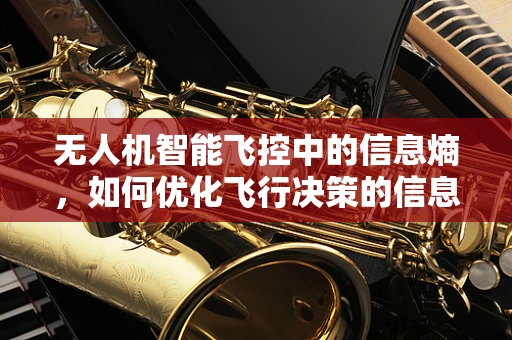 无人机智能飞控中的信息熵，如何优化飞行决策的信息效率？