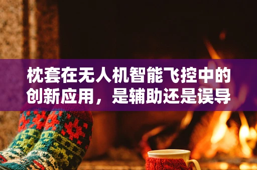 枕套在无人机智能飞控中的创新应用，是辅助还是误导？