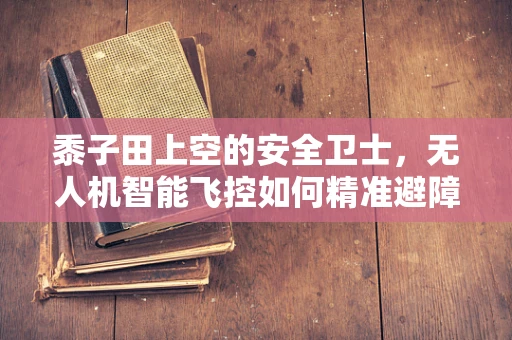 黍子田上空的安全卫士，无人机智能飞控如何精准避障？