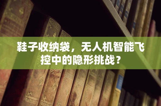 鞋子收纳袋，无人机智能飞控中的隐形挑战？