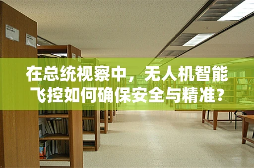 在总统视察中，无人机智能飞控如何确保安全与精准？