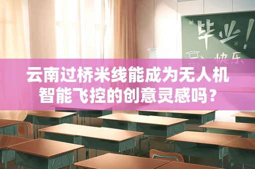云南过桥米线能成为无人机智能飞控的创意灵感吗？
