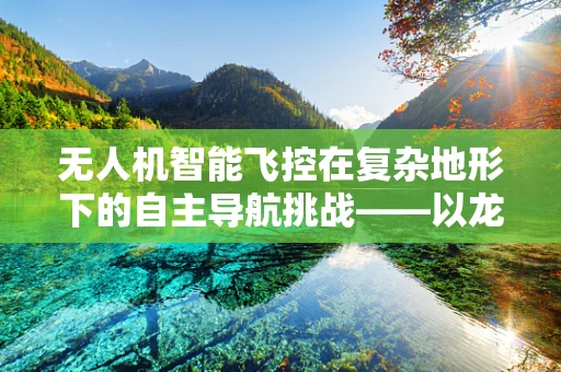 无人机智能飞控在复杂地形下的自主导航挑战——以龙岩地区为例