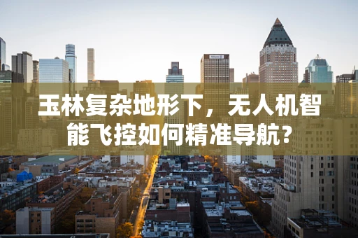 玉林复杂地形下，无人机智能飞控如何精准导航？