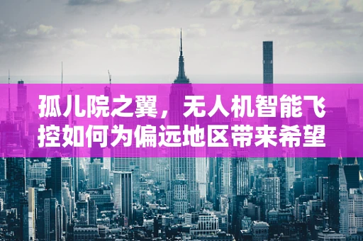孤儿院之翼，无人机智能飞控如何为偏远地区带来希望？