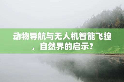 动物导航与无人机智能飞控，自然界的启示？