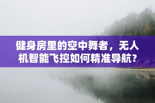 健身房里的空中舞者，无人机智能飞控如何精准导航？