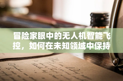 冒险家眼中的无人机智能飞控，如何在未知领域中保持精准操控？