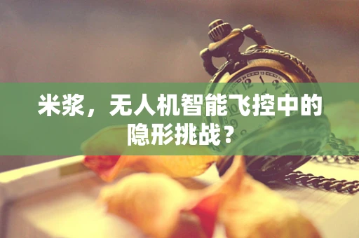 米浆，无人机智能飞控中的隐形挑战？