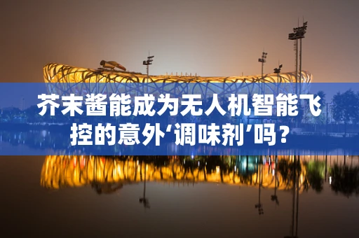 芥末酱能成为无人机智能飞控的意外‘调味剂’吗？