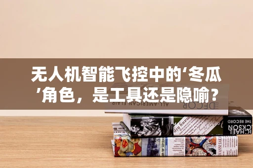 无人机智能飞控中的‘冬瓜’角色，是工具还是隐喻？
