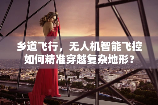 乡道飞行，无人机智能飞控如何精准穿越复杂地形？
