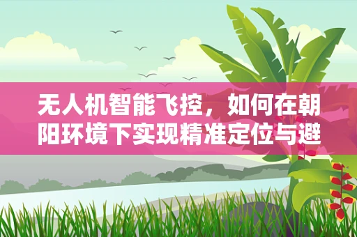 无人机智能飞控，如何在朝阳环境下实现精准定位与避障？