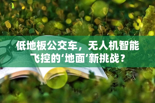 低地板公交车，无人机智能飞控的‘地面’新挑战？