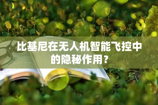 比基尼在无人机智能飞控中的隐秘作用？