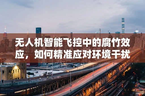 无人机智能飞控中的腐竹效应，如何精准应对环境干扰？