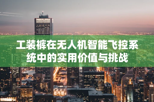 工装裤在无人机智能飞控系统中的实用价值与挑战