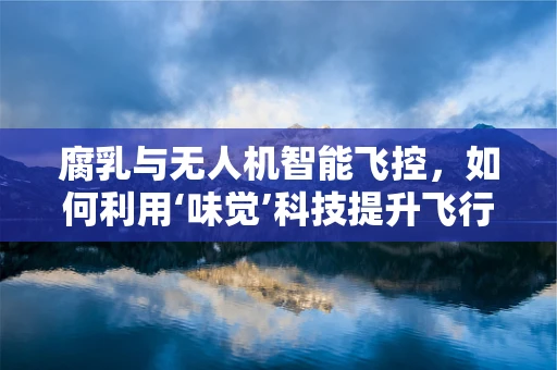 腐乳与无人机智能飞控，如何利用‘味觉’科技提升飞行安全？