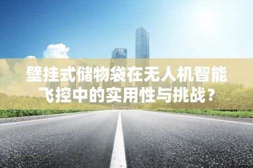 壁挂式储物袋在无人机智能飞控中的实用性与挑战？