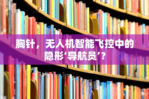 胸针，无人机智能飞控中的隐形‘导航员’？