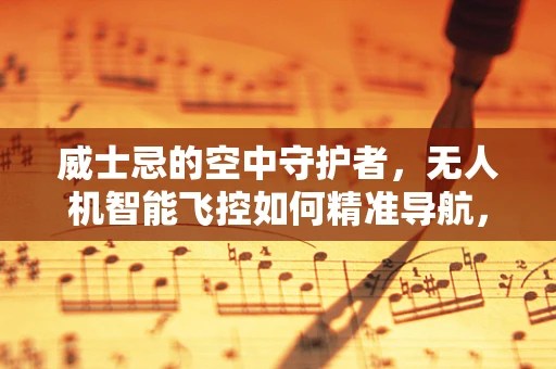 威士忌的空中守护者，无人机智能飞控如何精准导航，避免‘酒香醉飞’？