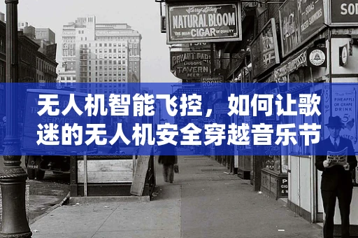 无人机智能飞控，如何让歌迷的无人机安全穿越音乐节人海？