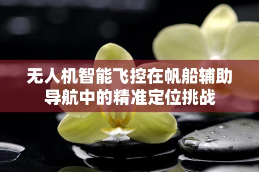 无人机智能飞控在帆船辅助导航中的精准定位挑战