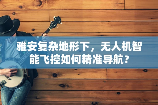雅安复杂地形下，无人机智能飞控如何精准导航？