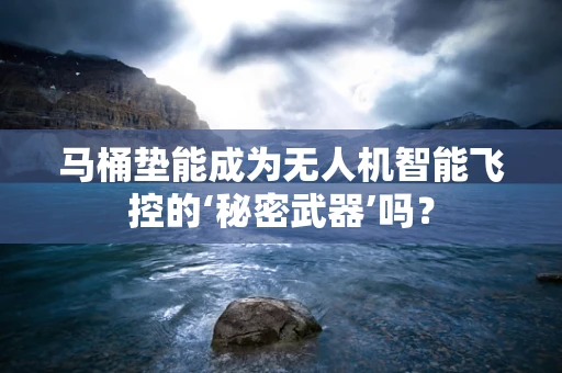马桶垫能成为无人机智能飞控的‘秘密武器’吗？